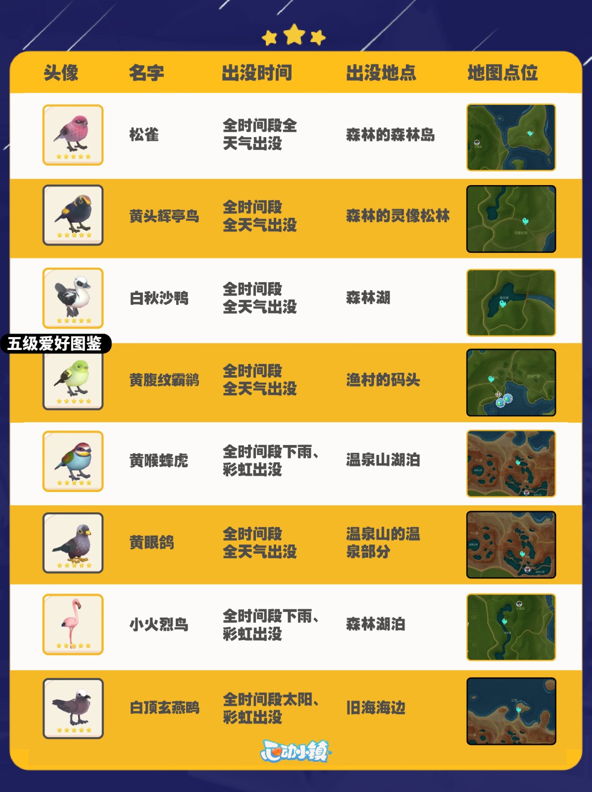 《心动小镇》观鸟攻略图鉴及拍照技巧