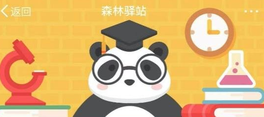 《微博》1月31日森林驿站最新答案